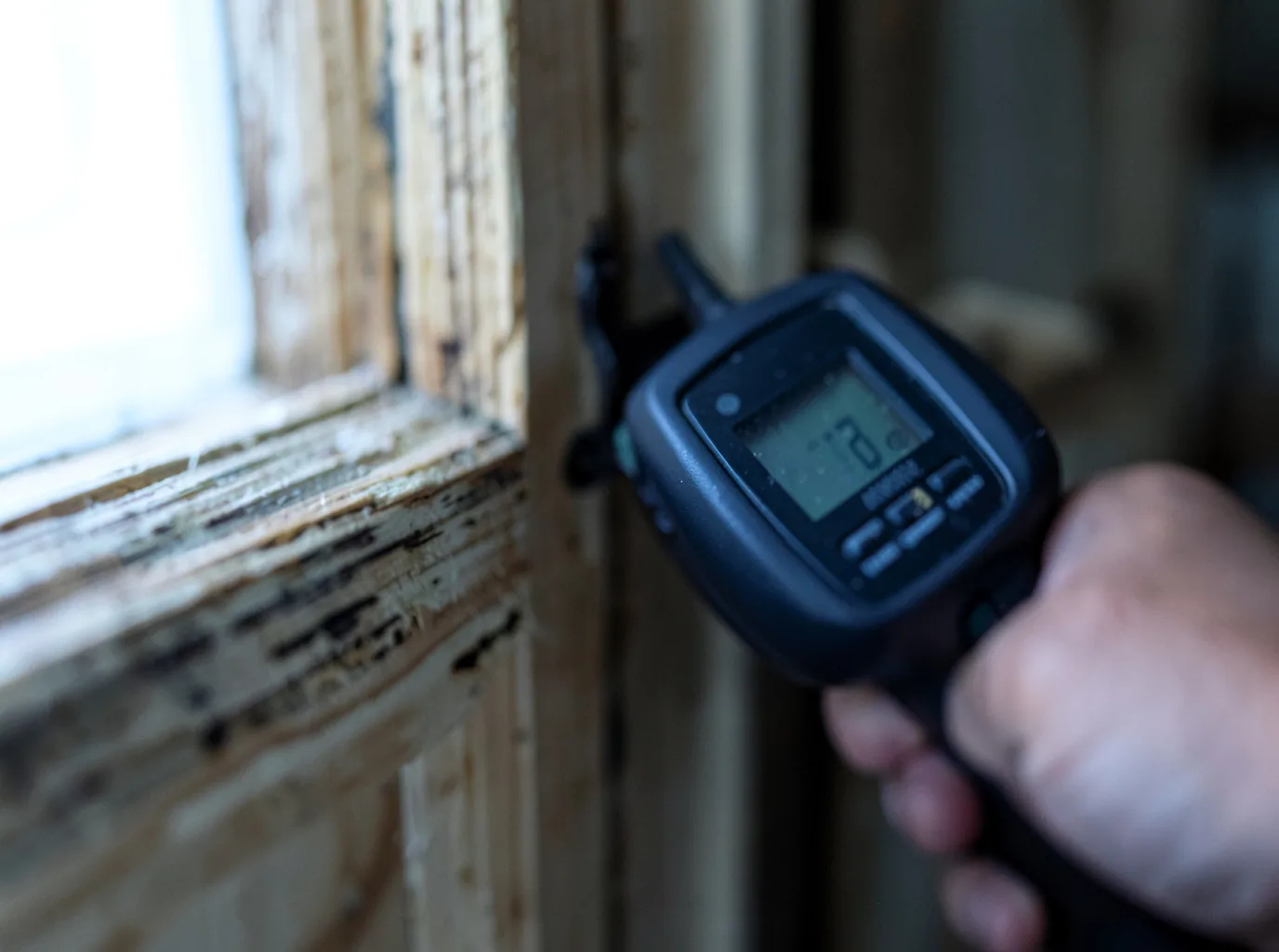 Moisture Inspection And Documentation in Wilton, IA